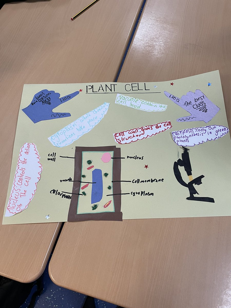 Gallery tour of the fab Cells poster from 1Q. Well done to the winner 🥇🏆🧫🔬🧬🧪 <a href="/StAndrewsRCSec/">St Andrew's Secondary School</a> <a href="/StAndrewscience/">St Andrews Science Dept</a> @kazzabio101 <a href="/amygoo27/">Annemarie McGougan</a> #ScienceHeroes #S1superstars