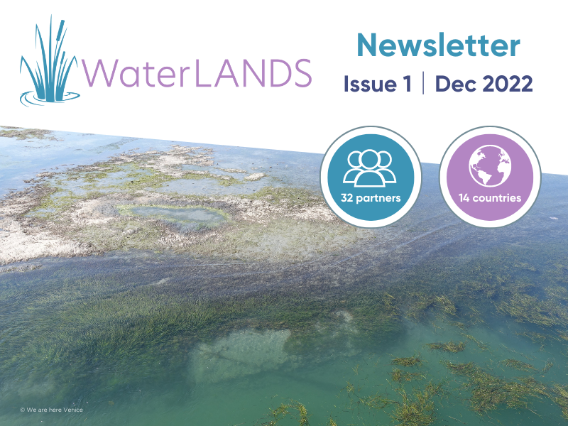 WaterLANDS_EU's tweet photo. More exciting birthday celebrations at WaterLANDS HQ! 🥳🥂

Our first annual newsletter is now available to read - check it out for tons of exciting updates from the project's first year! 💚🌟💧

https://t.co/ULeonH6dxN https://t.co/P2RWtytLlM