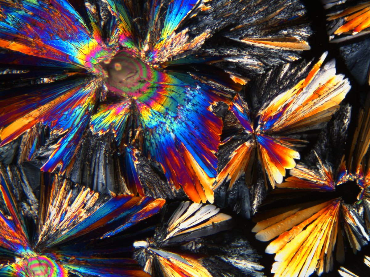 Richard Cole tweet media