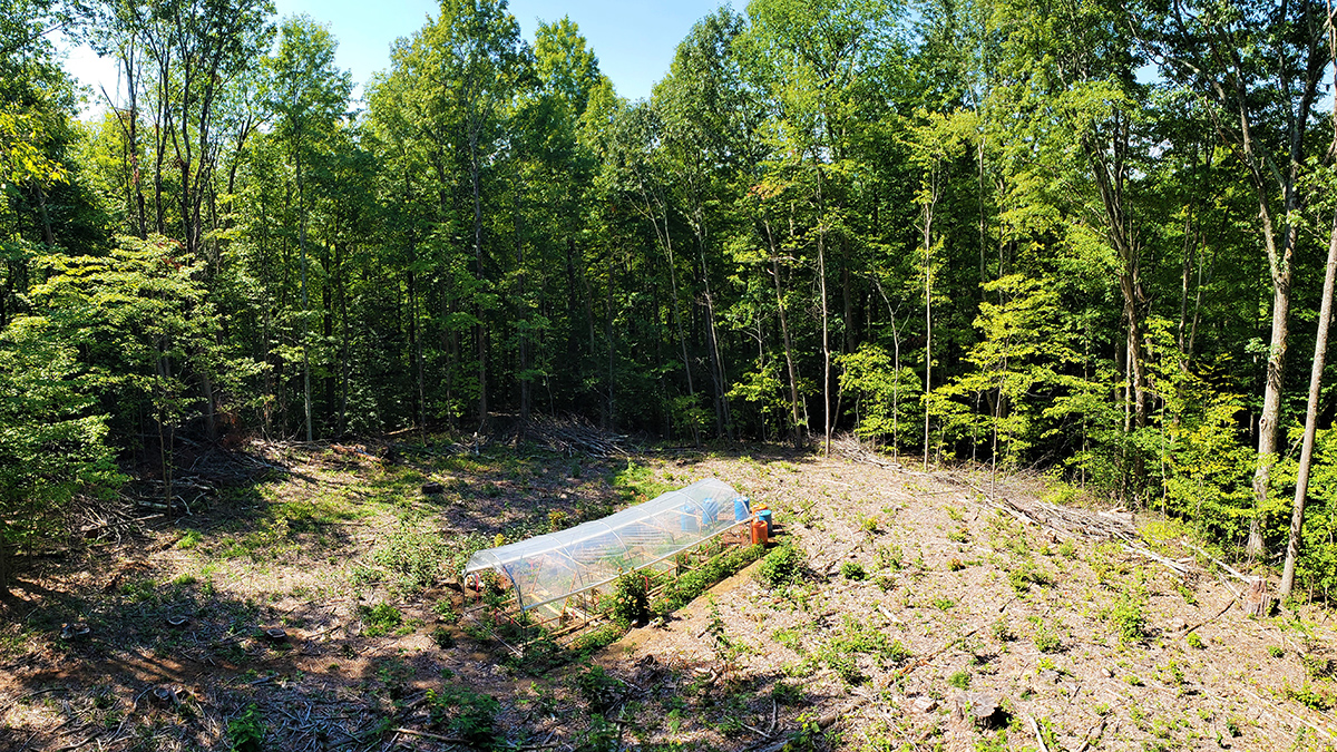 UVM_RSENR's tweet photo. Researchers Peter Clark &amp; Tony D'Amato find climate change-triggered extreme drought &amp; rainfall impact forest tree seedlings. Survival depends on seed size and seedbed conditions.
https://t.co/JDM6eb2u3T

@ESAEcology @NSF @UVMResearch #UVMForestry #ClimateChange #TreeSeedlings https://t.co/siiZ95du0o