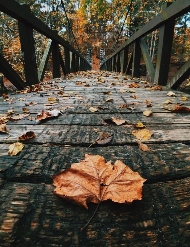 اپنے جذبات کی پہچان کے لئے feeling wheel بہت اچھا اور آزمودہ طریقہ ہے۔جذبات کو نام اور پہچان مل جائے تو خود سے تعلق مزید بہتر ہوتا ہے۔ پھر کہاں خود کو سمجھانا ہے اور کب خود کو سمجھنا ہے، یہ واضح ہوتا ہے۔ خود سے تعلق جڑتا ہے تو دوسروں سے تعلقات میں بھی نکھار آنے لگتا ہے۔