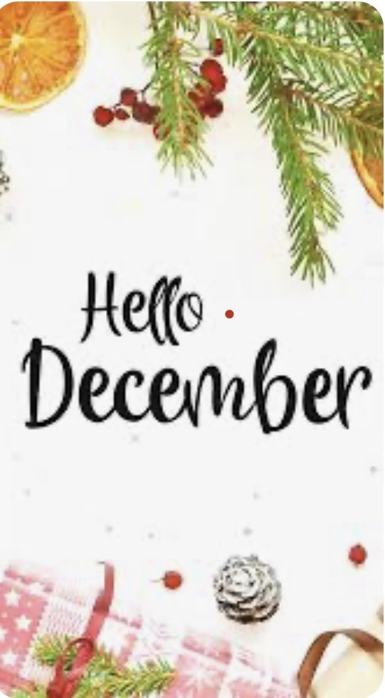 deertickguard's tweet photo. #December https://t.co/B8EuEk5ijI