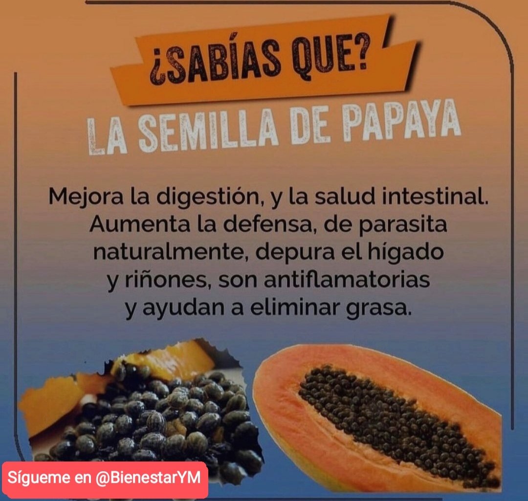 ✨💫🌿☀️Tip Saludable☀️🌿💫✨

La semilla de Papaya sus Beneficios.

*Regálame un Gracias si me lees*