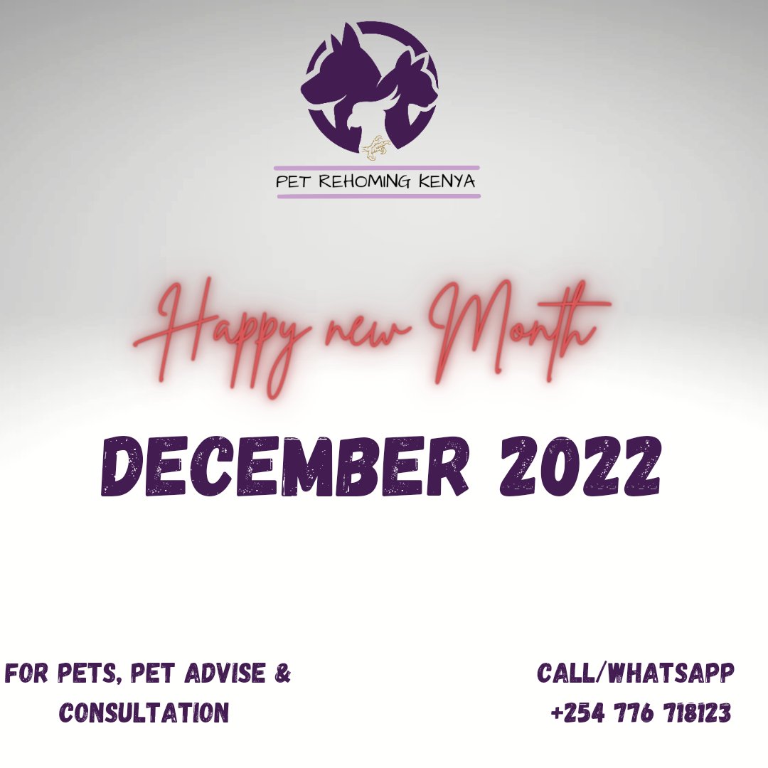 prkpets's tweet photo. Happy new month! December 2022!! https://t.co/2ICjCphJ0E