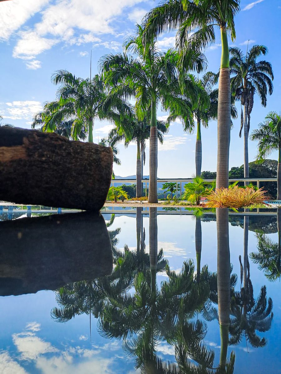 MarriottMcy's tweet photo. Disfrutemos de las fechas navideñas con el confort y comodidad que necesitas, vive la experiencia Marriott.
.
#Marriott #MarriottMaracay #Maracay #MarriottHotels https://t.co/tsndDcsN8R