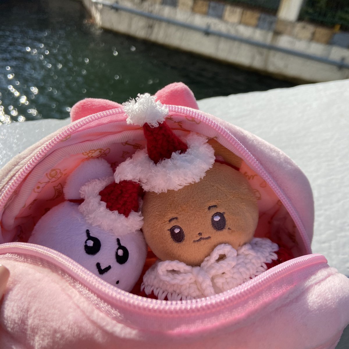 sumieeei's tweet photo. 용람찌와 함께한 미리메리크리스마스🎄
용람찌 실물이 오억배 귀엽고 진짜 똥글똥글 실물파임.❤️
#우리집_용람찌_짱귀엽찌 https://t.co/YBCg1RFqPE