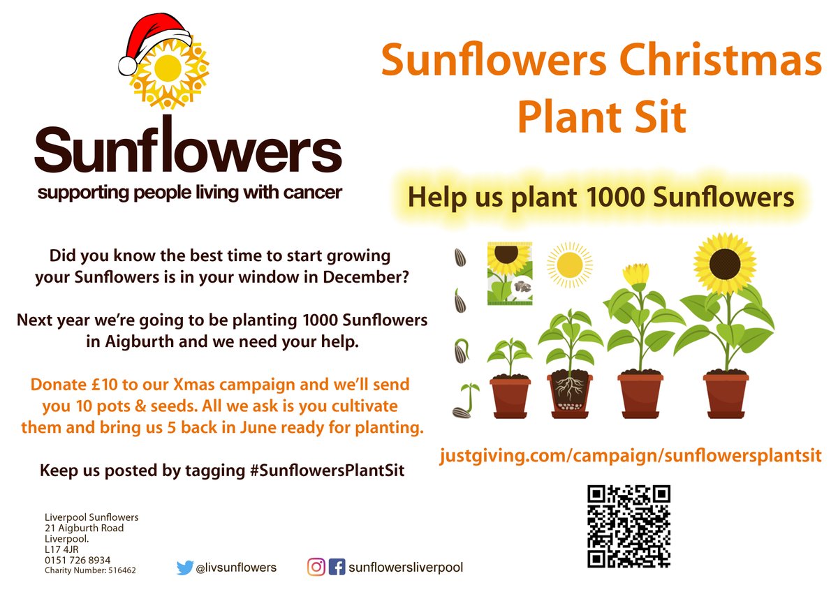 Support our Christmas Campaign and we will send you 10 Sunflower seeds and kit to grow your own and bring us back 5 in June for the #SunflowersPlantSit

justgiving.com/campaign/sunfl…