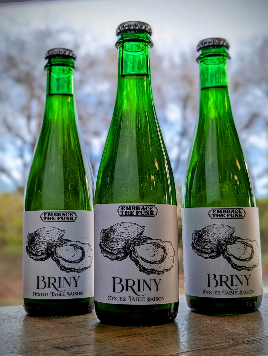 🦪🦪Briny is back in our lives!🦪🦪

This will likely be the last batch until late spring. 

As usual with this beer the yield is low with 72 bottles being produced for this batch. 

A table Saison brewed with Moondancer oysters and saaz hops.
yazoobrew.com/product/briny/