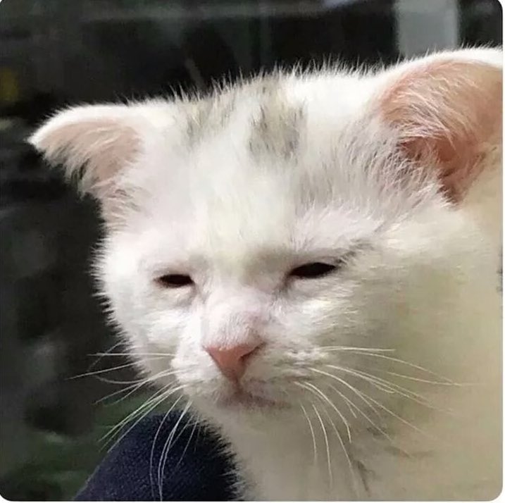 MiightyHyena's tweet image. 