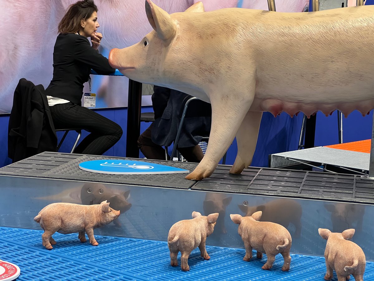 Pénurie de vétérinaires dans les élevages allemands : la profession tire la sonnette d'alarme 👇
porcmag.com/technique/sant…