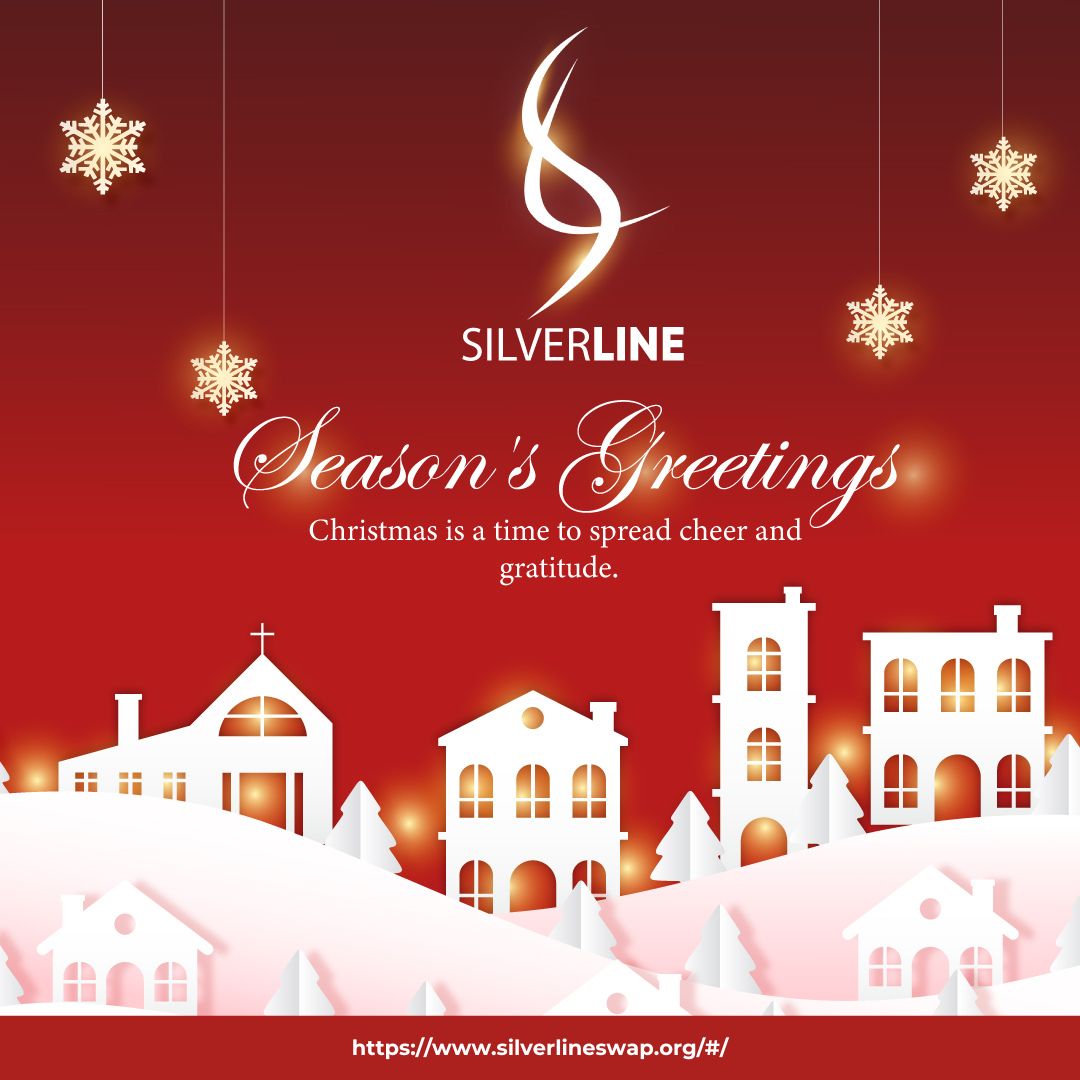 SilverLineSwap_'s tweet image. May This Christmas Season SPARCKLE and SHINE!🎄🌟

#GetinLineforSilverLine #SilverLineSwap #BNB #BSC #cryptocurrencies #Digitalrupee #1000x #Token #BABT