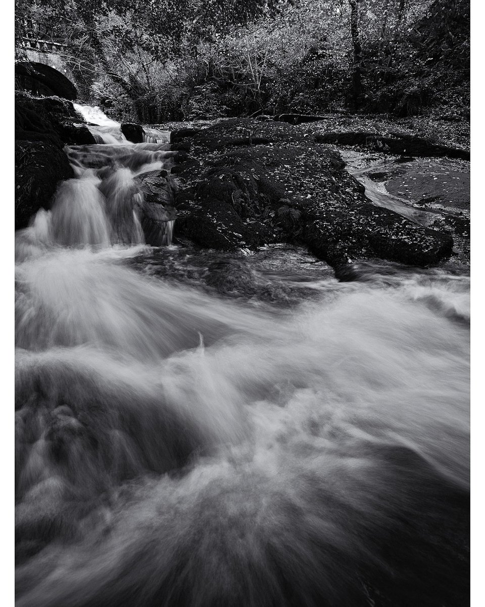 Cloughlea, Wicklow

#wicklow #river #fastflow #Monochrome #bnw #bnwphotography #WINTER #WinterIsComing #Ireland 
#outdoors #explore #nature 

@ThePhotoHour @PictureIreland @YourAwesomePix @visitwicklow