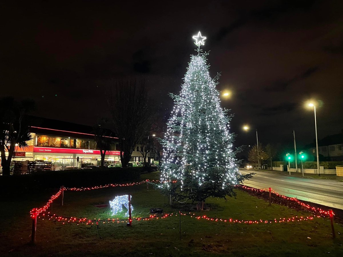 It’s beginning to look a lot like Christmas here in Churchtown lovely work @total_tree_care 🎄