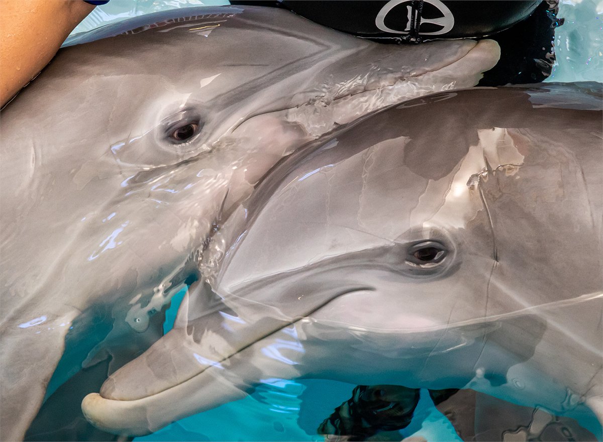 Winter and Hope had an unbreakable bond! Tag a friend who is the Hope to your Winter.