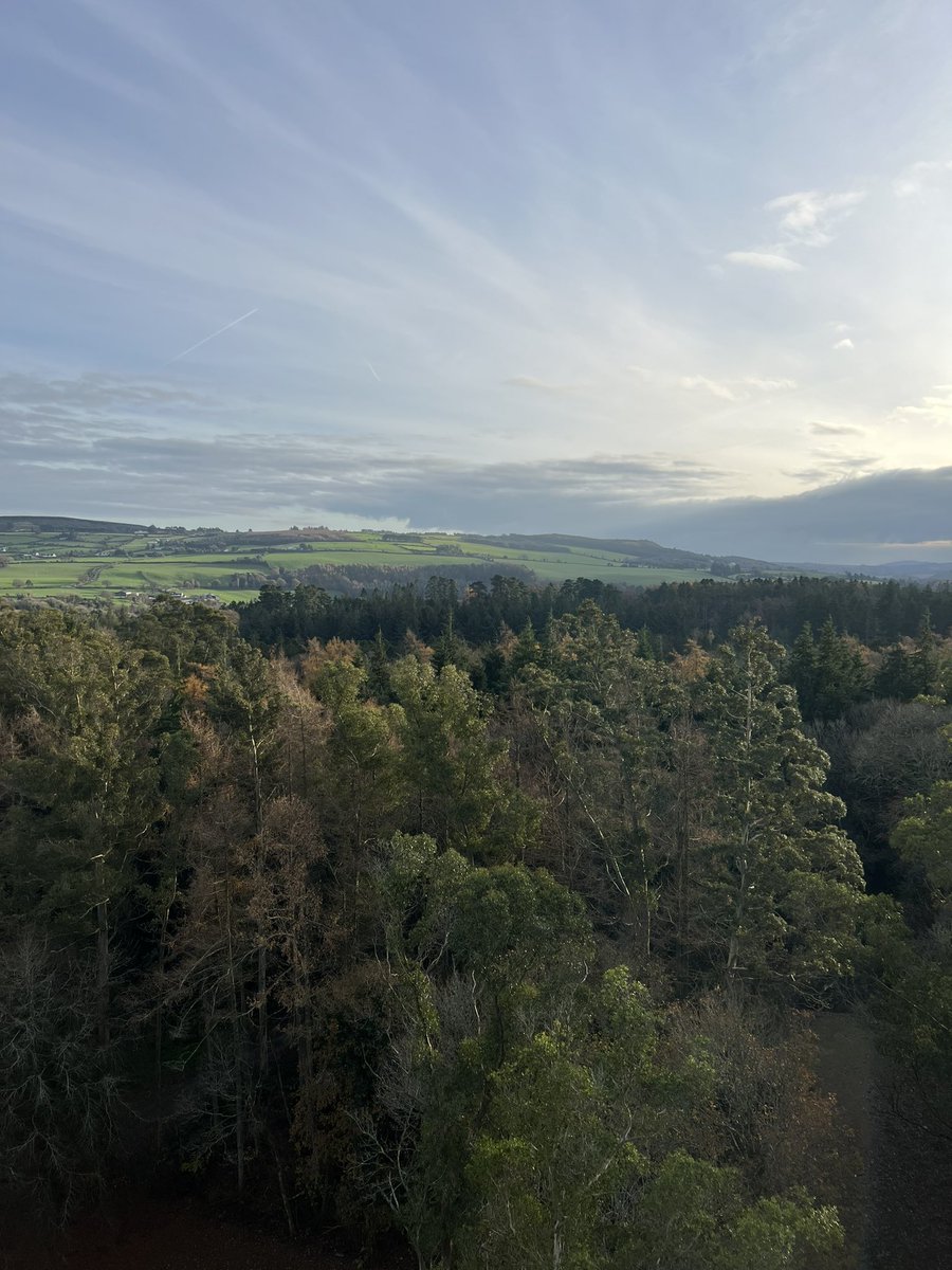 brendancruise's tweet photo. What a way to spend a day! @AvondaleBeyond is just wonderful, so classy and educational. The treetop walk, viewing tower, and slide are superb #BeyondTheTrees #FamilyTime https://t.co/OHhe2psAP6