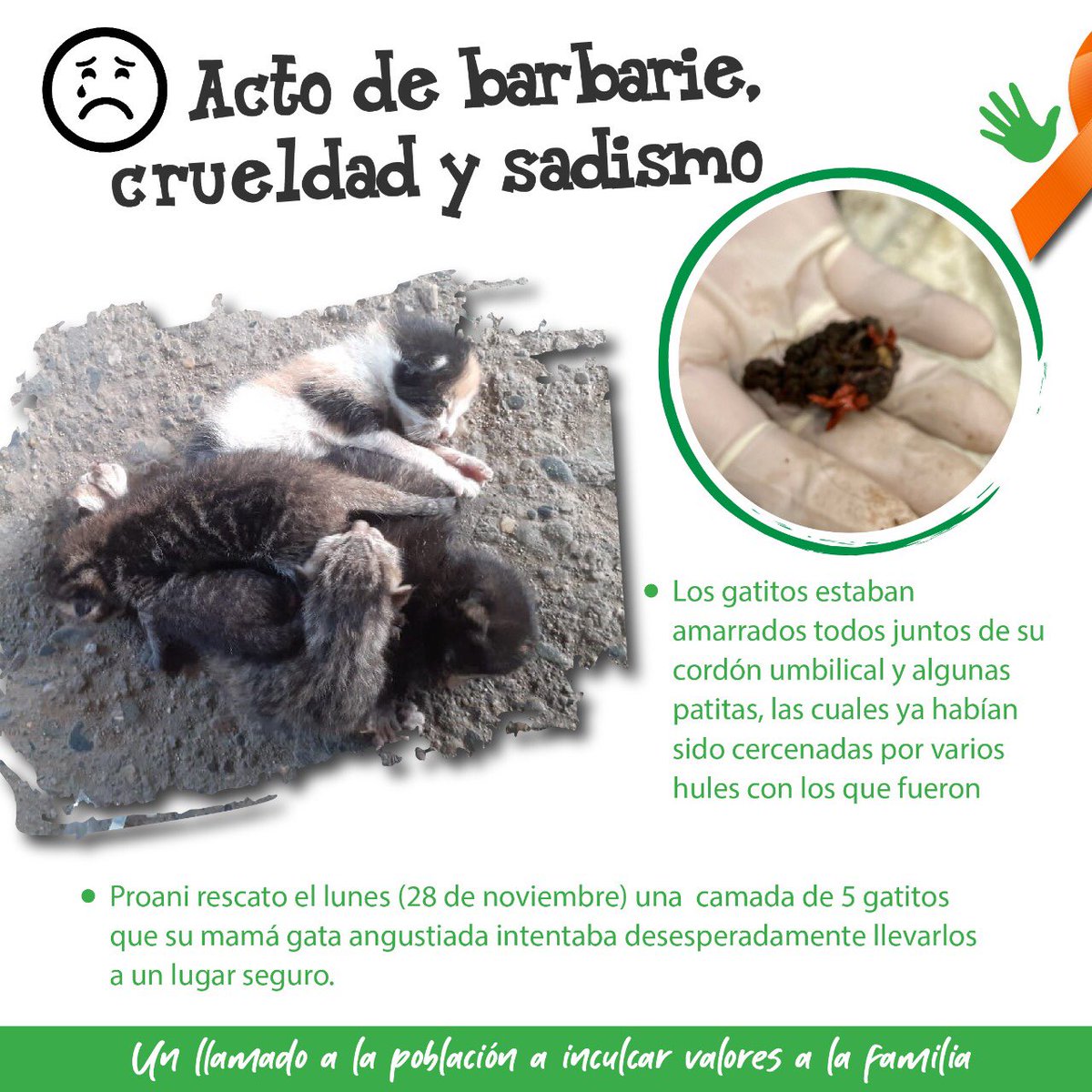 ProaniHonduras's tweet photo. Acto de barbarie, crueldad y sadismo 

Difícil de creer como el ser humano es capaz de tanta crueldad hacia los animales, seres indefensos que no tienen culpa en venir a este mundo de humanos insensibles, dañinos y llenos de maldad. 

 #proanihonduras #comparte #noalmatratoanimal https://t.co/DlI95XW9Xl