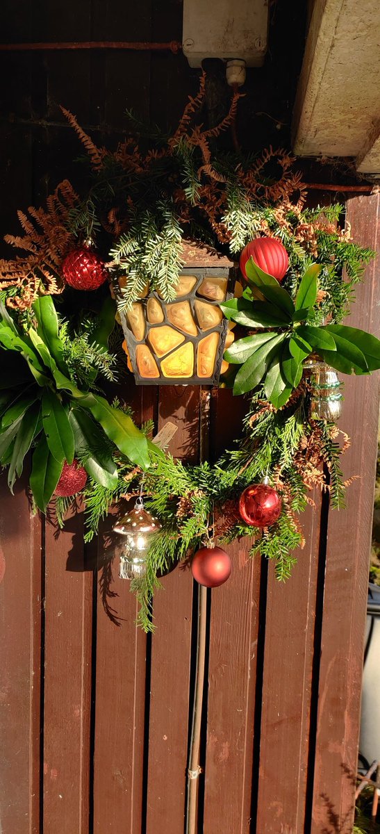 Community Forests Ireland tweet media