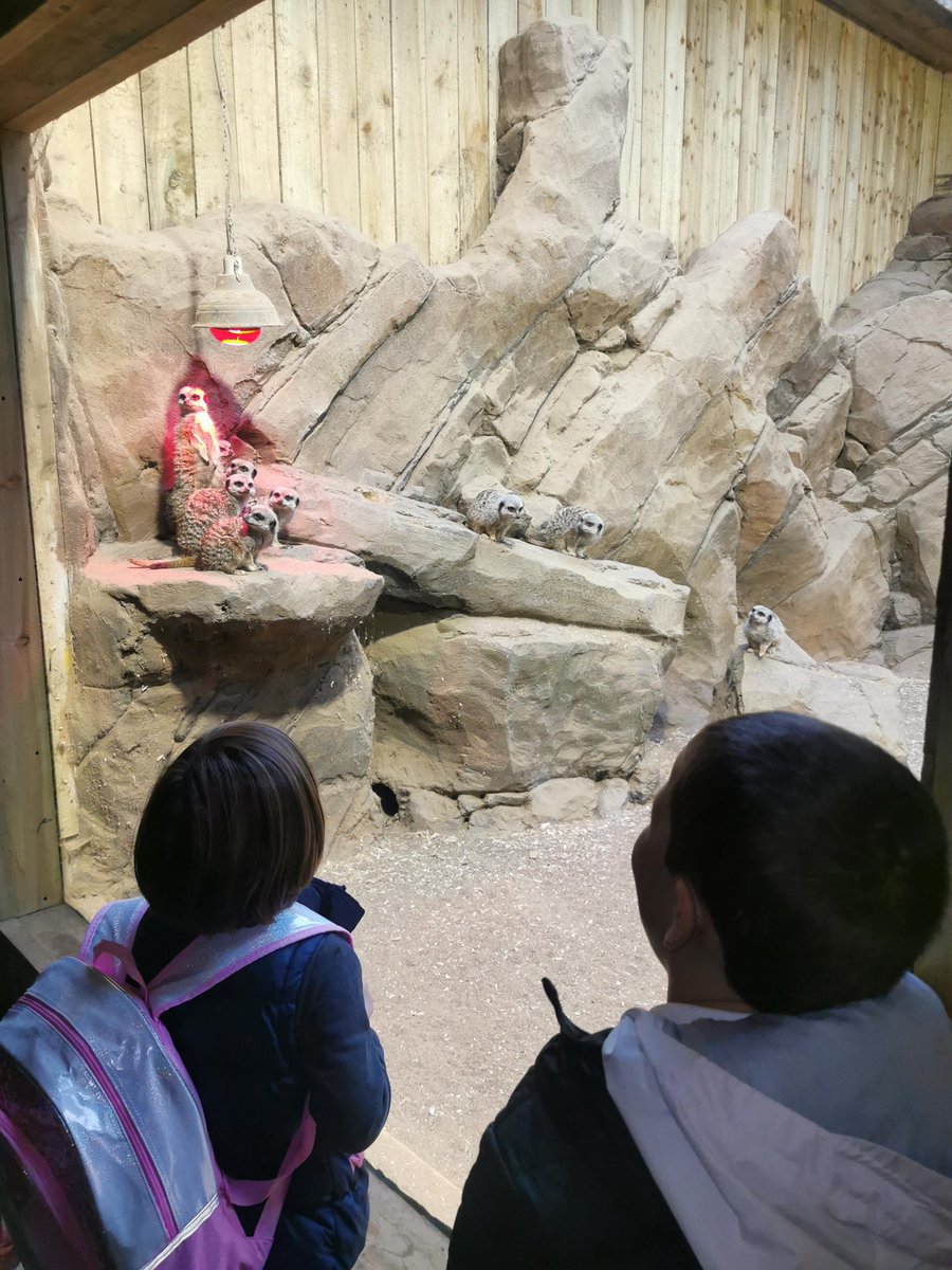 FifePSS's tweet photo. What a perfect way to end the Sand, Sea and Sustainability project by visiting St Andrews Aquarium. Children were able to make connections to what they have been learning in class and real life.Well done! Exemplary responsible citizens ⭐️#inclusion #learningforsustainability https://t.co/UhUx81ppDT