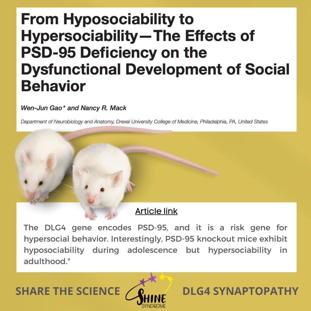 DLG4SHINE's tweet photo. Here's another interesting DLG4 read! Our first DLG4 variant model is currently in process via CRISP-R technology and we can't wait to learn about how the mice are characterized next spring. 

Read more: https://t.co/TbEfCGYVGm

#DLG4 #shinesyndrome #PSD95 #neurodevelopment #rare https://t.co/7QEOPJnZtG