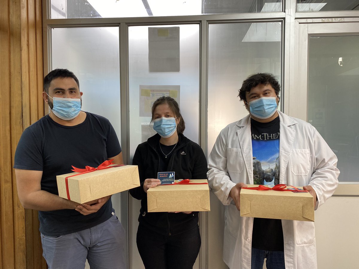 HospitalBaseValdivia tweet media