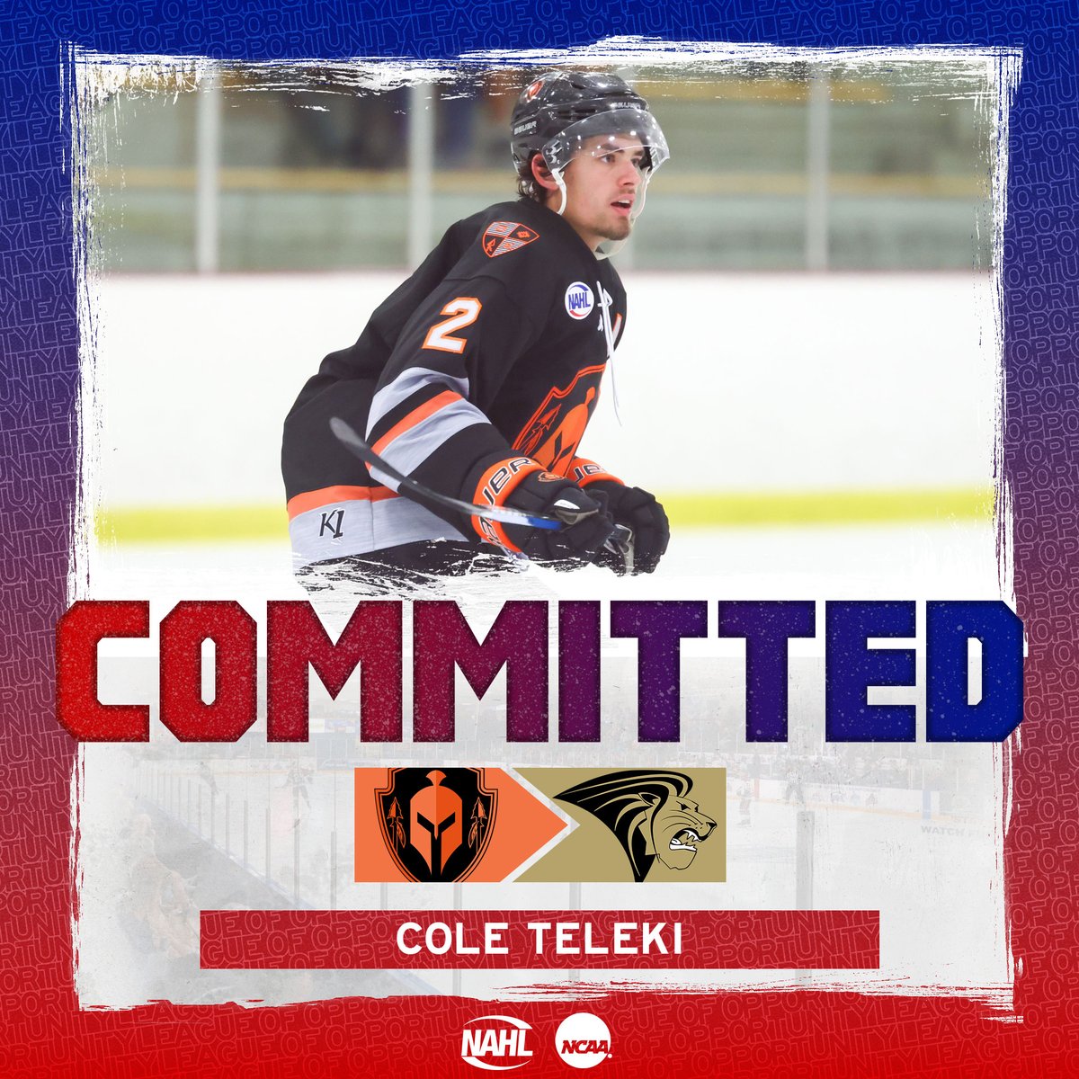 #NAHL Commitment Alert: <a href="/OkWarriors_NAHL/">Oklahoma Warriors NAHL</a> defenseman Cole Teleki has committed to play NCAA Division I <a href="/collegehockey/">College Hockey Inc.</a> for <a href="/LULionsHockey/">Lindenwood Hockey</a> #MadeintheNA nahl.com/news/story.cfm…