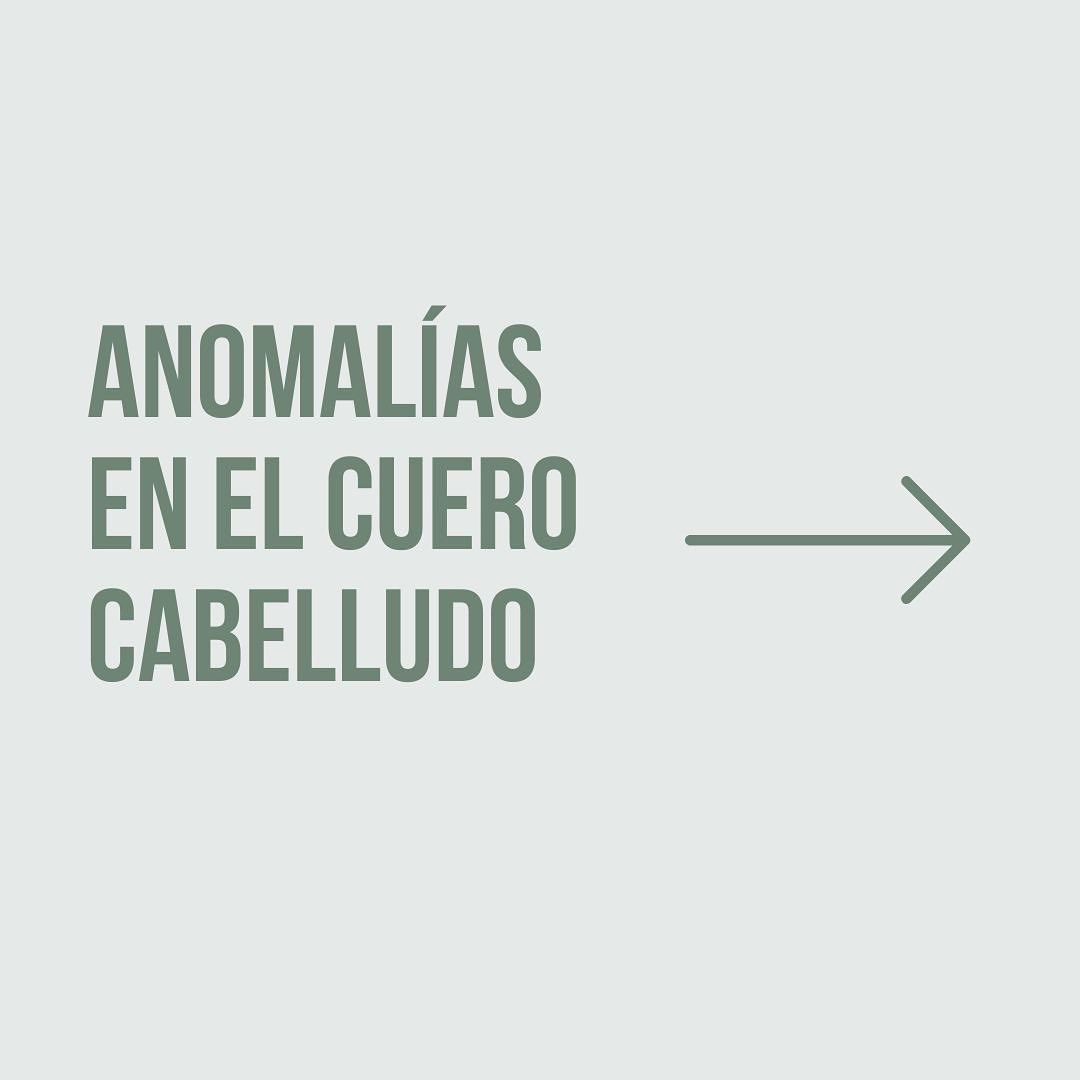 SolentineC's tweet photo. Cuando el equilibrio del cabello se interrumpe, imperfecciones como la calvicie, la perdida de cabello, el sebo o la caspa toman el control. ​
​Los aceites esenciales de la línea de KYKLOS de @JeanPaulMyne ayudan a restablecer el equilibrio natural del cabello 👏🏼 https://t.co/rixUTgp6ep