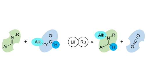 Angewandte Chemie (@angew_chem) on Twitter photo Alkyl Formates as Transfer Hydroalkylation Reagents and Their Use in the Catalytic Conversion of Imines to Alkylamines (Cantat) @LCMCE_lab <a href="/TCantat/">Thibault Cantat</a> <a href="/LucileDalion/">Lucile Anthore-Dalion</a> <a href="/CEAParisSaclay/">CEA Paris-Saclay</a> @INC_CNRS #openaccess onlinelibrary.wiley.com/doi/10.1002/an… Alkyl Formates as Transfer Hydroalkylation Reagents and Their Use in the Catalytic Conversion of Imines to Alkylamines (Cantat) @LCMCE_lab <a href="/TCantat/">Thibault Cantat</a> <a href="/LucileDalion/">Lucile Anthore-Dalion</a> <a href="/CEAParisSaclay/">CEA Paris-Saclay</a> @INC_CNRS #openaccess onlinelibrary.wiley.com/doi/10.1002/an…