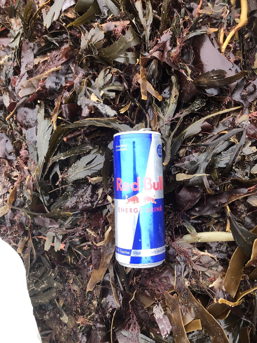 Dave_Dixon1's tweet photo. It’s a new month so my 1st 📷 is for @TJRPitt #justonepiece 👍 it’s still a bit nippy at #marsdenbay @nationaltrust but nice for walking it’s high tide so only a partial #beach clean took 5.12kg away #litter ♻️ lots of #cans & #bottles #reduce #reuse #recycle #LoveWhereYouLive https://t.co/0ODpAhYPOA