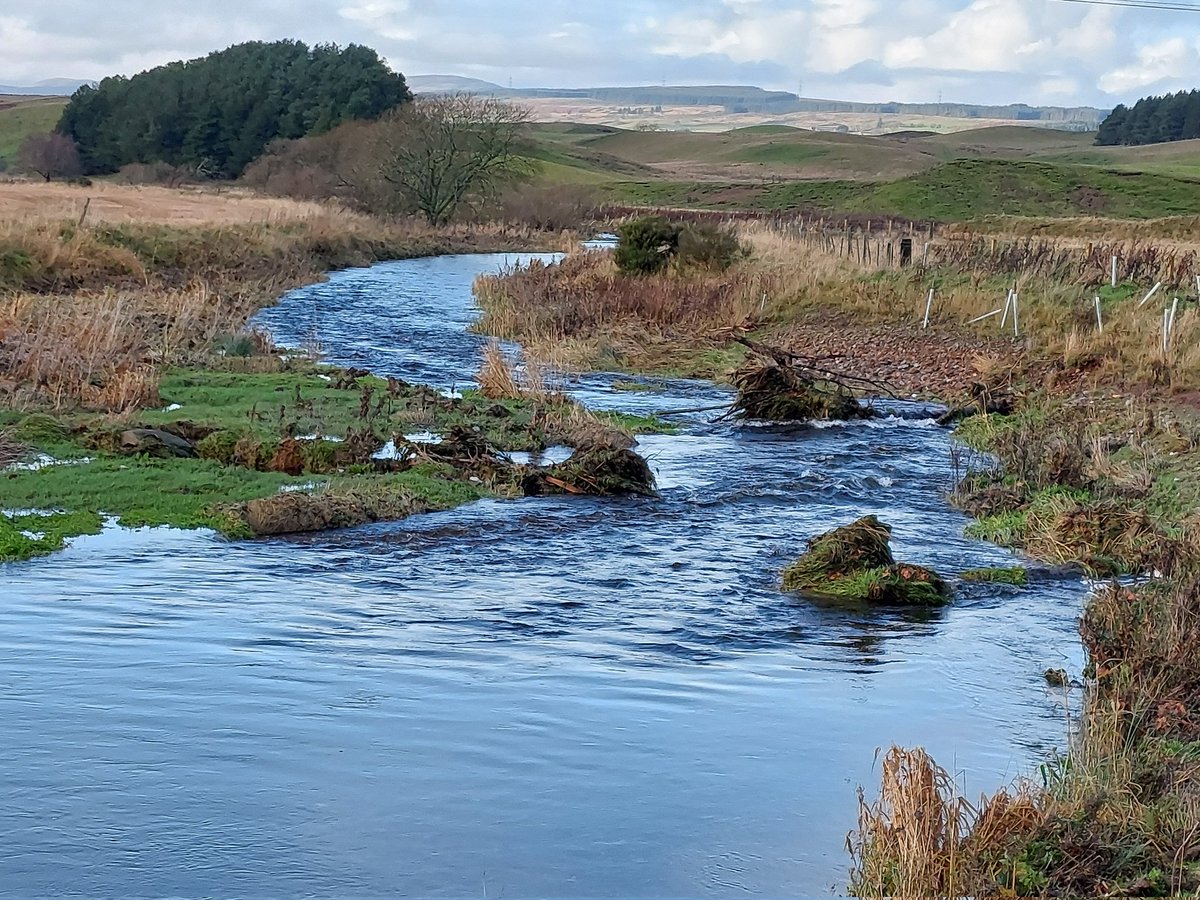 Dr Ian Pattison tweet media