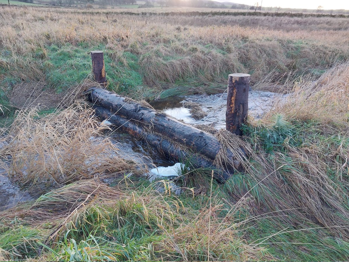 Dr Ian Pattison (@gowiththef1ow) on Twitter photo Thanks to the <a href="/ForthRiversT/">Forth Rivers Trust</a> for discussing their Allan Water #NFM project with us and giving us a tour of the #catchment. #NBS #Flood #EcosystemServices #biodiversity. @mstetkiewicz and @tabasad will be researching this for next 3.5 years. Exciting times and collaboration. Thanks to the <a href="/ForthRiversT/">Forth Rivers Trust</a> for discussing their Allan Water #NFM project with us and giving us a tour of the #catchment. #NBS #Flood #EcosystemServices #biodiversity. @mstetkiewicz and @tabasad will be researching this for next 3.5 years. Exciting times and collaboration.