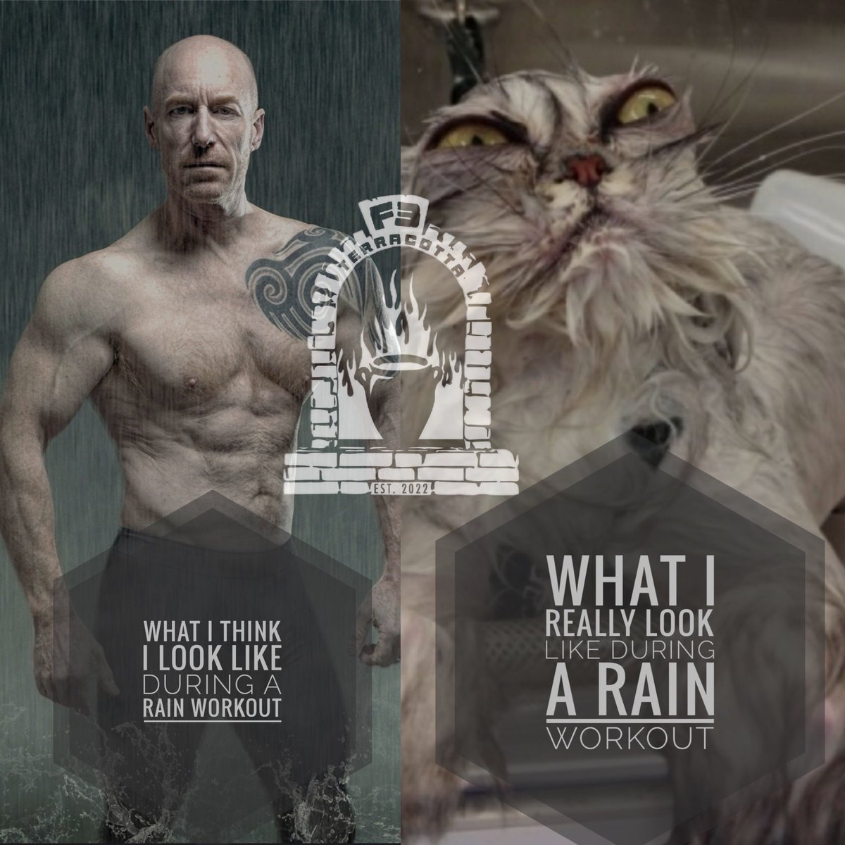 F3-Macbeth tweet media