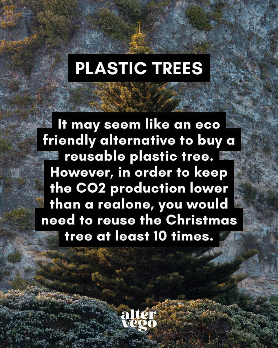 wearealtervego's tweet photo. Lots of people will be looking to get their Christmas trees... but have you ever thought about renting one?

#ecofriendlychristmas #christmastrees #ecochristmastree #sustainabletree #ecofriendlygifts #sustainablegiftideas #ecobusiness #ecoproducts #sustainableproducts https://t.co/TEViR1CdIW