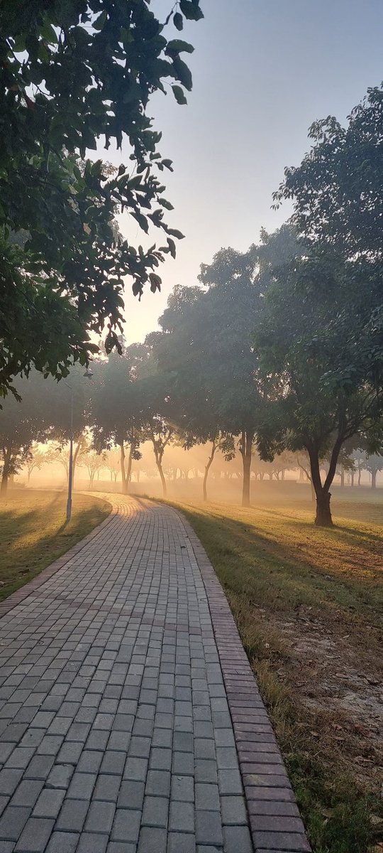 romarizvi's tweet photo. @ONGOD @alamiftikharalg @sirmedmanzoor @fifiharoon @beenasarwar @Shaz_NH69 @NJLahori @Shabana_Saher @AP @xSwoopty @Rabinakhan78 “Time spent amongst the trees, is time never wasted…” #quotes that stay with you. #nature #naturephotography
#trees #Model_town
#Lahore https://t.co/QS5i2vFDac