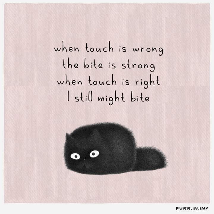 purrinink's tweet photo. https://t.co/NUNIXyOw5M