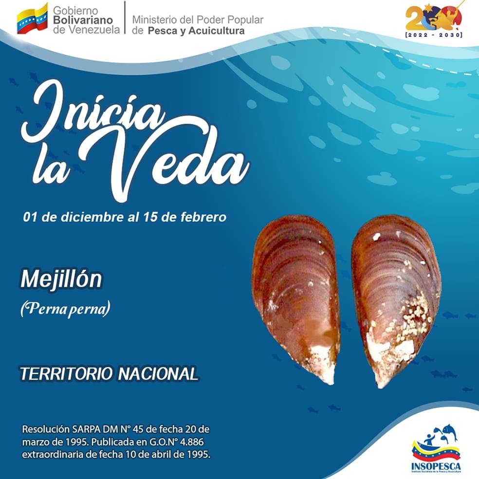 A partir de este 1° de diciembre y hasta el 15 de febrero entra en vigencia el período de veda de mejillón, según resolución número 45 de la Gaceta Oficial Extraordinaria 4.886, publicada el 10 de abril de 1995.