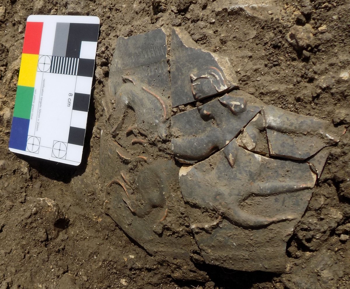 In our final #FindsFriday from the #RutlandRomanVilla. Fragments of a Nene Valley ‘hunt cup’ showing a human figure amongst a melee of animals.
#Roman #archaeology #Rutland #RomanBritain @HistoricEngland @ArchAncHistLeic