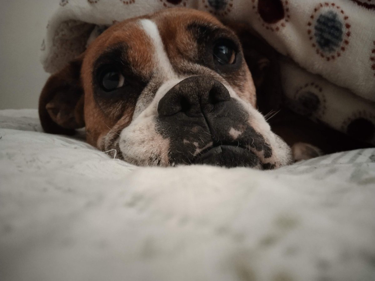 Daniela Liñan 🌸 tweet media