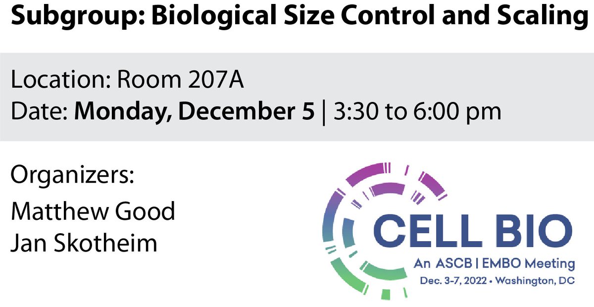 buenoscience's tweet photo. Excited about the ASCB-EMBO meeting in a few days! Check out our subgroup 'Biological Size Control and Scaling' on Mon Dec 5th that I am co-chairing with @JanSkotheim. Talks from @JeanVolland @johan_elf_ @SimoneReber @Nishit24 @BastoRenata @arich9109 and others. #ASCB2022 https://t.co/siC4JlAtSJ