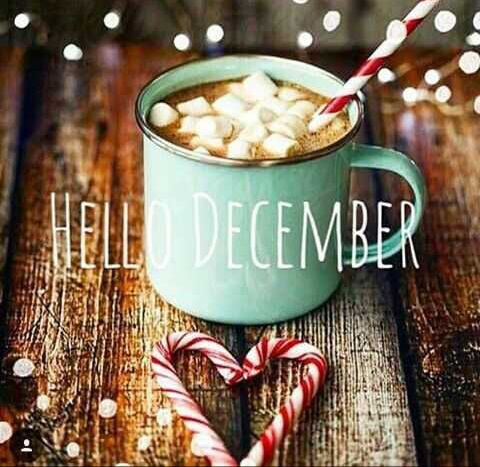 Assure_Link's tweet image. Give the gift of a medical alert button this Christmas. Call us at AssureLink at 208-523-2704 assurelink.net 
#911alarm #independentseniors #PERS #medicalalarm #assurelink #seniorhelp.