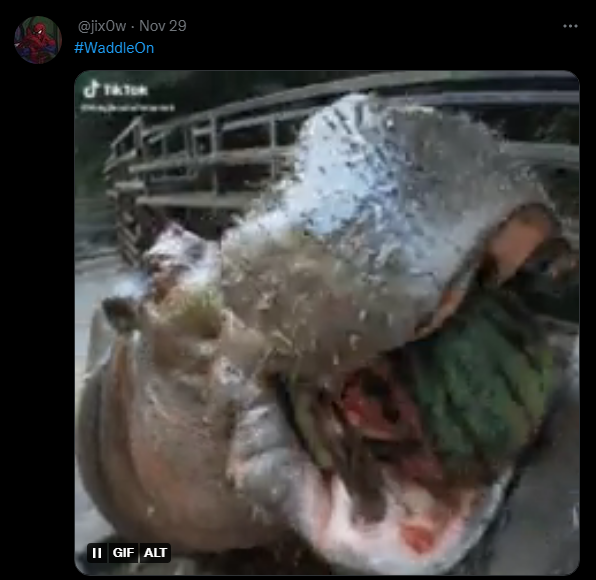 Warwick Overwatch tweet media