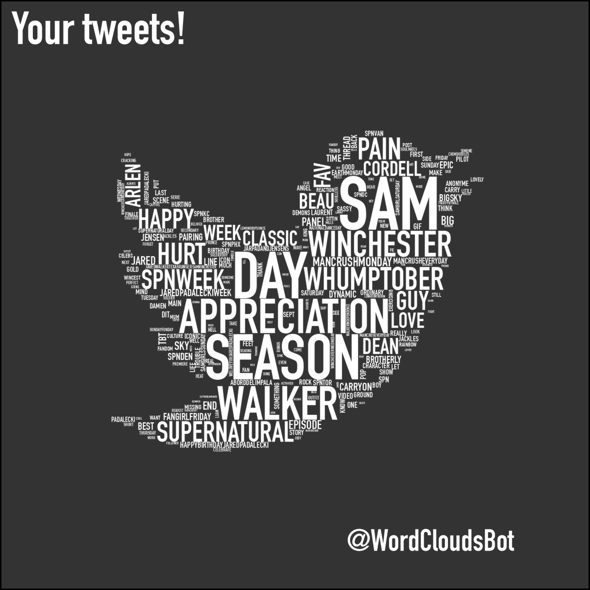 aborddelimpala's tweet photo. Hey hey hey :) #SamgirlForLife https://t.co/BAiKYYosQL