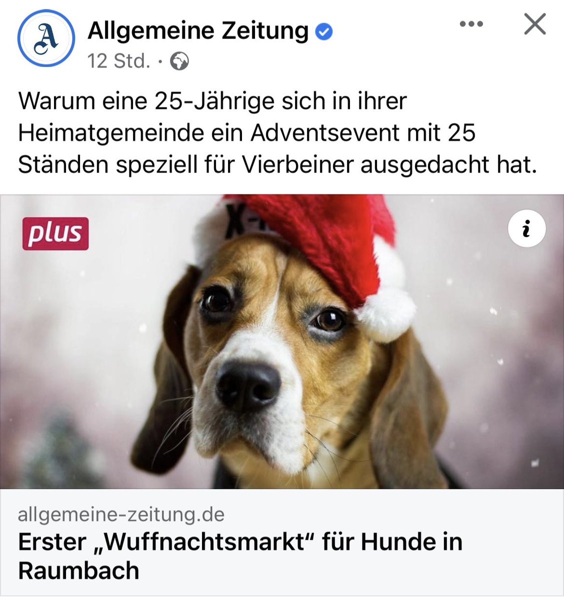 Loide, was es alles gibt 😼