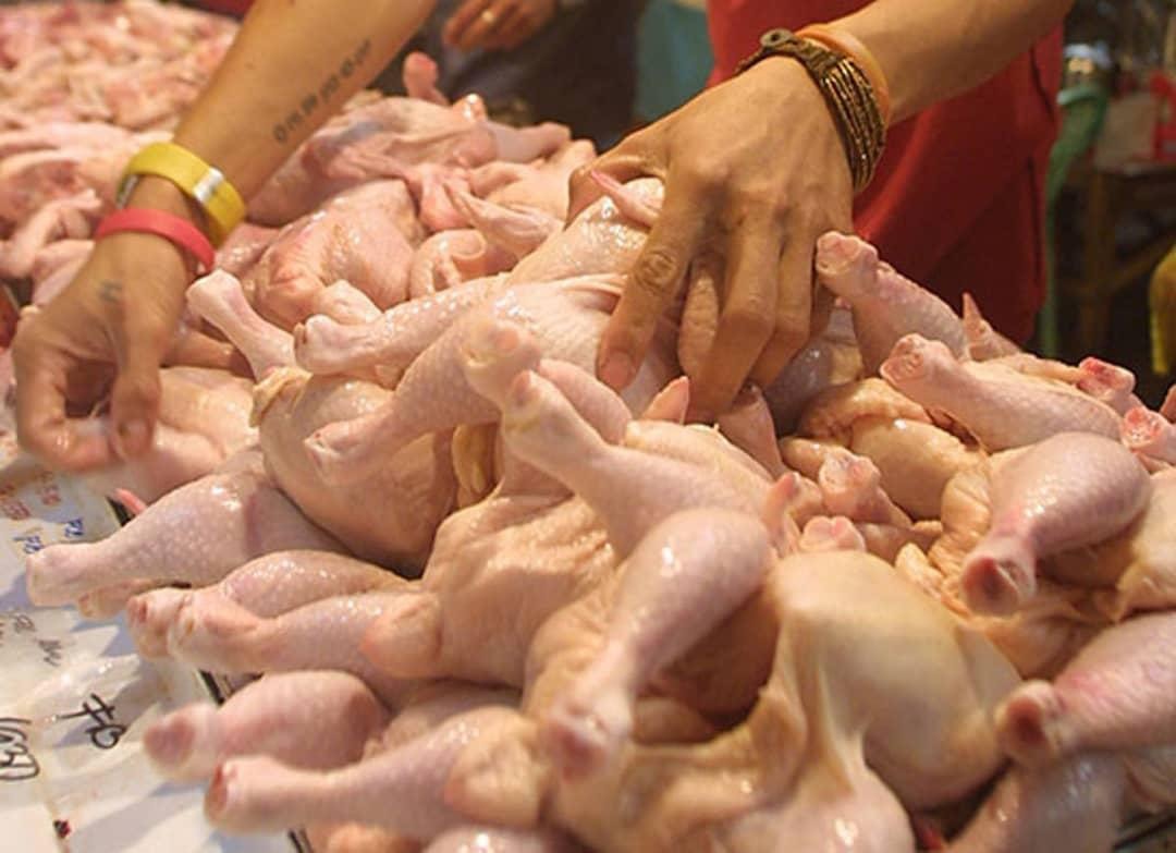 Pawsupplier's tweet photo. Chicken Leg Quarters | Frozen Chicken Leg Quarters
Category: Chicken Paws Supplier 

E-mail: customink75@gmail.com
.
#chicken #chickenwings #chickenpaws  #chickenpaw #chickenfeet #chickenquarters #chickenlegs #FrozenChicken #frozenchickenwing #frozenchickenpaw #chickenbreast #paw https://t.co/KT97V92FeP