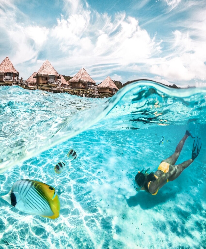 IC French Polynesia tweet media