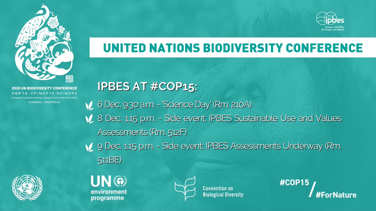 Meet <a href="/ipbes/">ipbes</a> at <a href="/unbiodiversity/">UN Biodiversity</a> #COP15!

'Science Day': our experts will brief decision-makers on the science behind the draft #GBF cbd.int/article/cop15-…

Or come to our side events on 8 &amp; 9 Dec to learn about the #SustainableUse &amp; #ValuesAssessment &amp; other ongoing work!