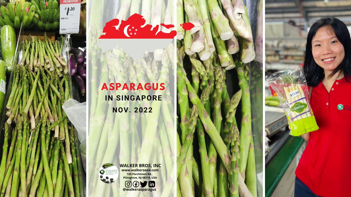 💡Fun Fact: Did you know #Singapore, although a small country, is a MAJOR fresh #asparagus buyer in Southeast Asia?🤯 It was the second-largest buyer of fresh green asparagus from #Australia in 2020/2021.