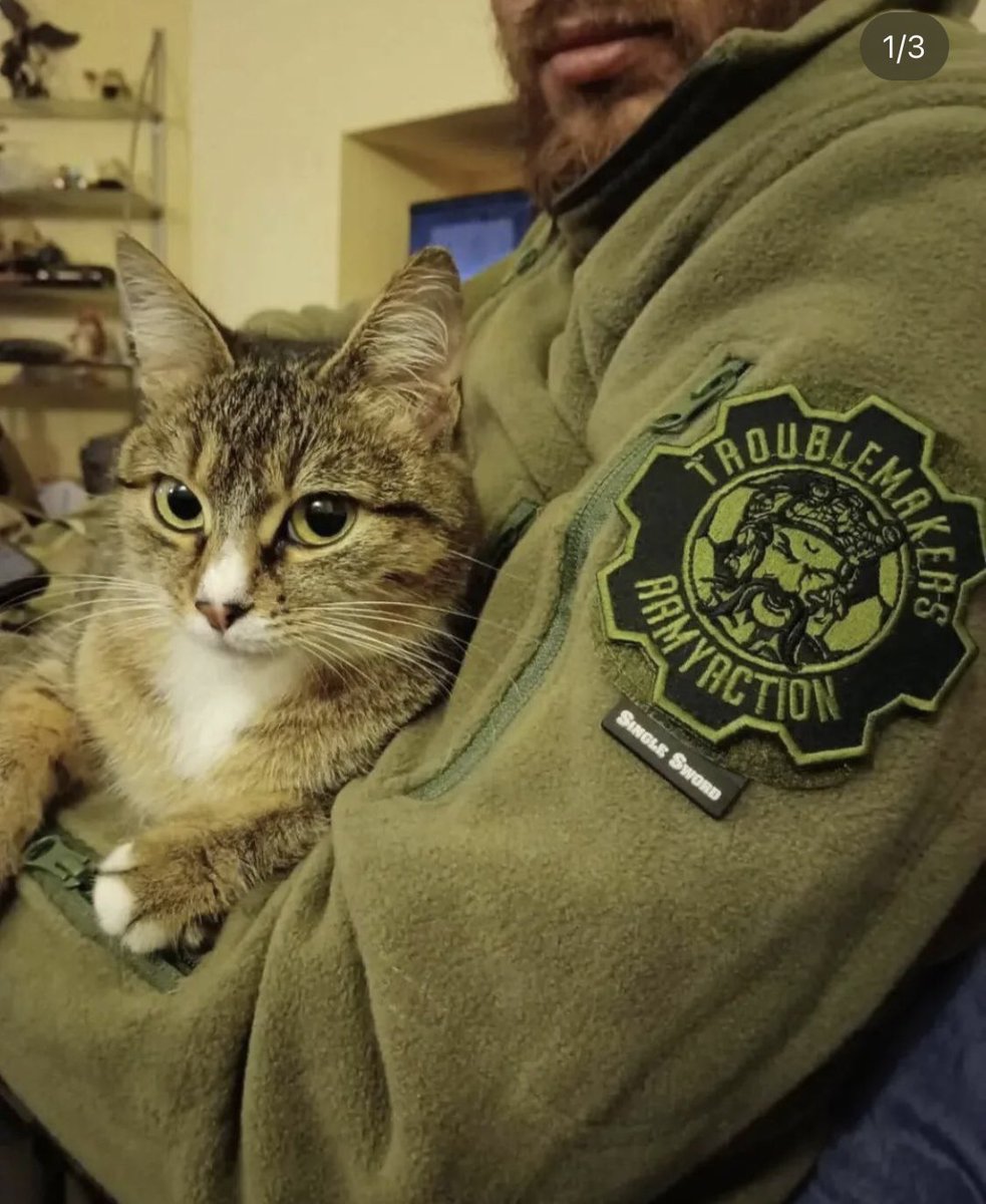 Hooligan and cat.

#Ukraine️ #RussiaisATerroistState #RussiaUkraineWar #CatsOfTwitter #CatsOnTwitter #Bakhmut #armedForces #Nikopol 
 #NewYork #Zaporizhzia #Kyiv #StandWithUkraine 
#Apple #Bitcoin