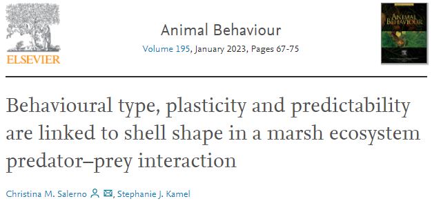 AnimBehSociety's tweet image. " Shy snails climbed higher, spent more time in the refuge and were less plastic and more predictable" 
A study by Christina M. Salerno and Stephanie J. Kamel
#Animalpersonality #intraspecificinteractions #themarshperiwinkle 
For more info:
sciencedirect.com/science/articl…
