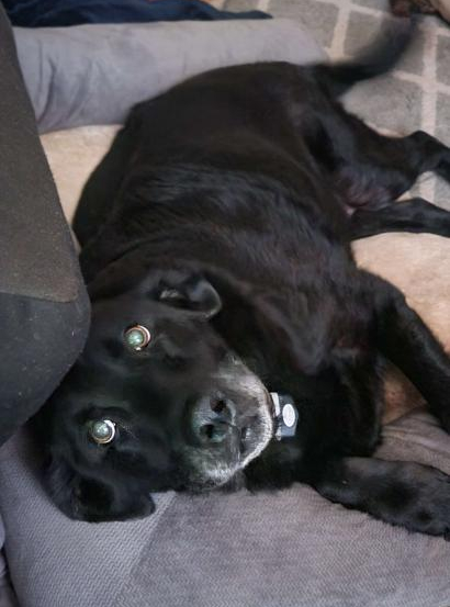 GeigenVonHuber tweet media