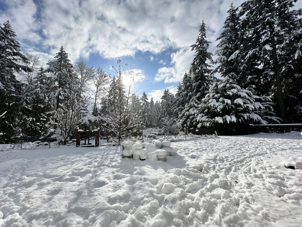 BrianSays tweet media